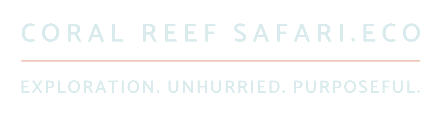 Coral Reef Safari