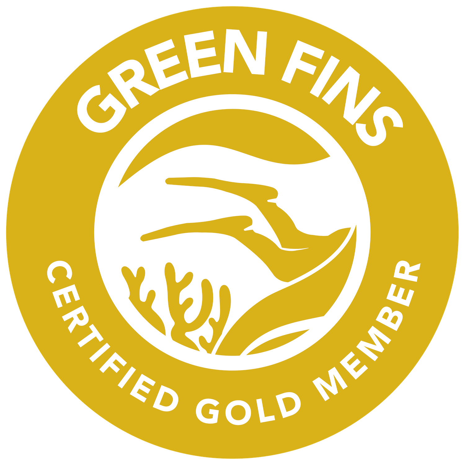 coral reef safari gold certified green fins