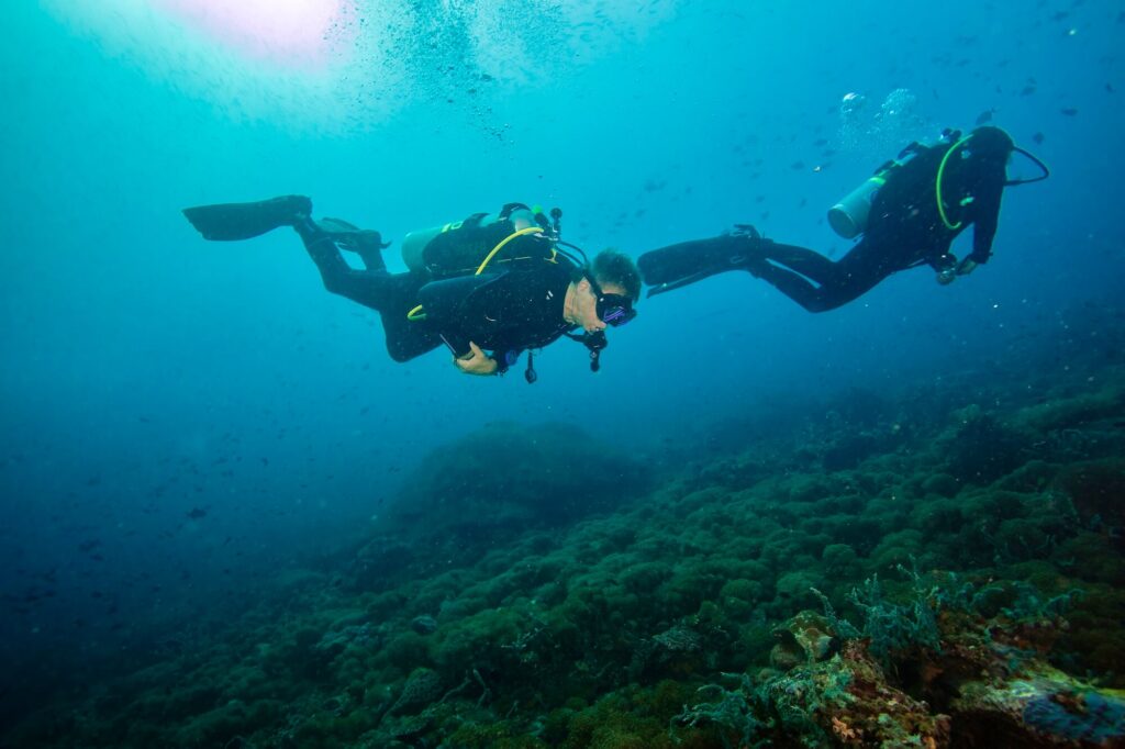 Hibo Reef rises like a submerged mountain from deep water, its upper terraces crowned with coral before giving way to dramatic vertical walls
