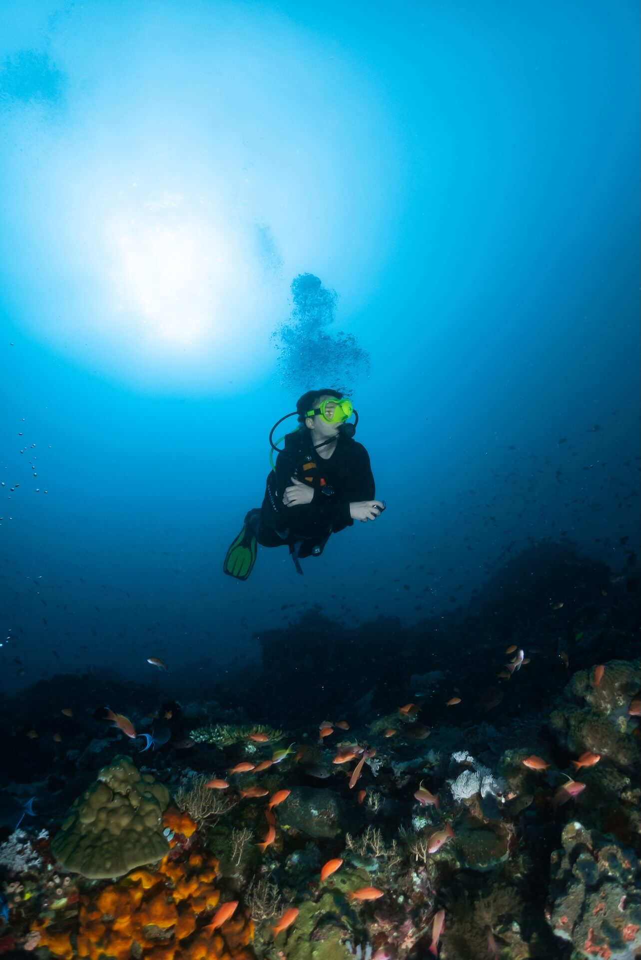 Private scuba diving. Puerto Galera, Philippines