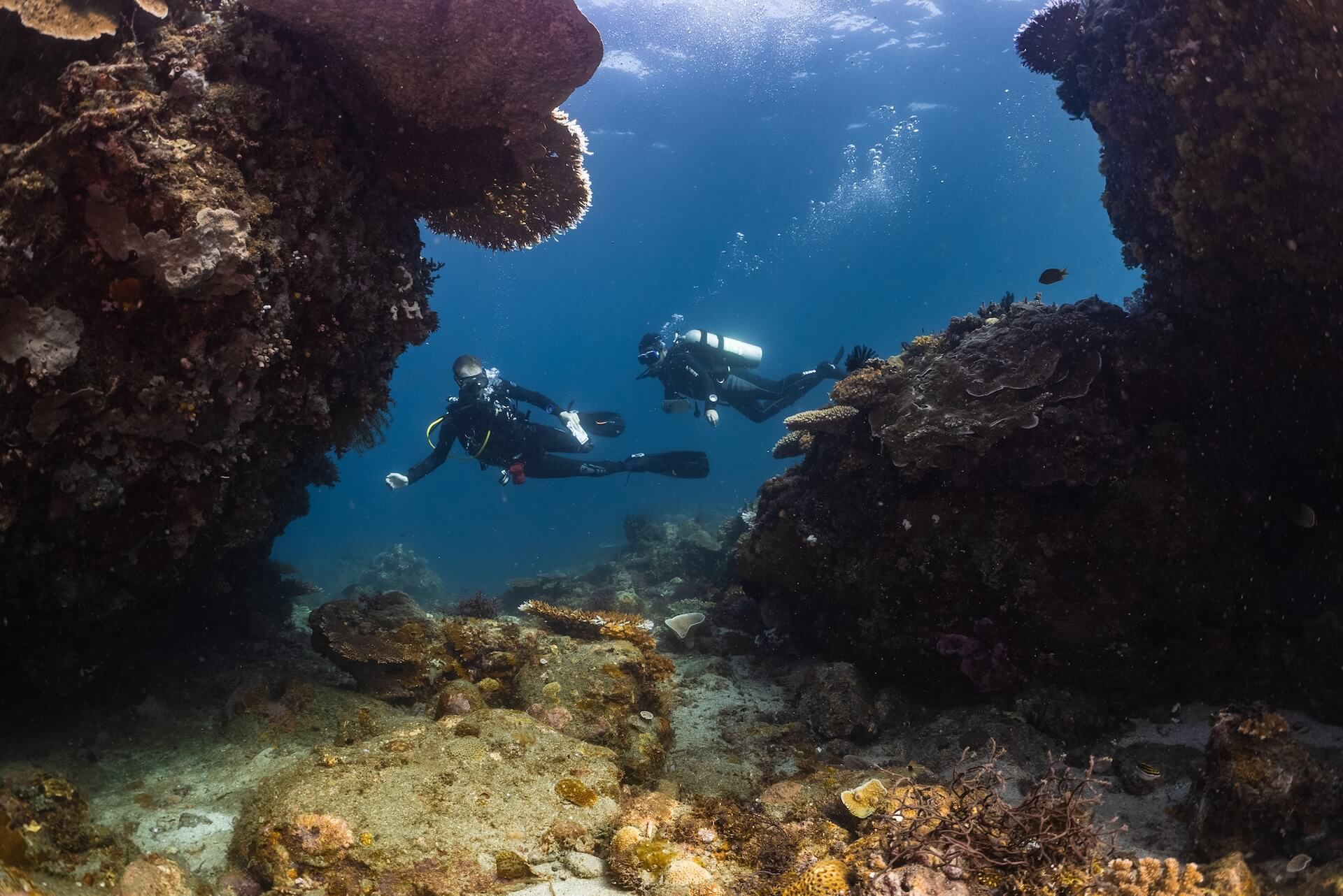 Private scuba diving. Puerto Galera, Philippines