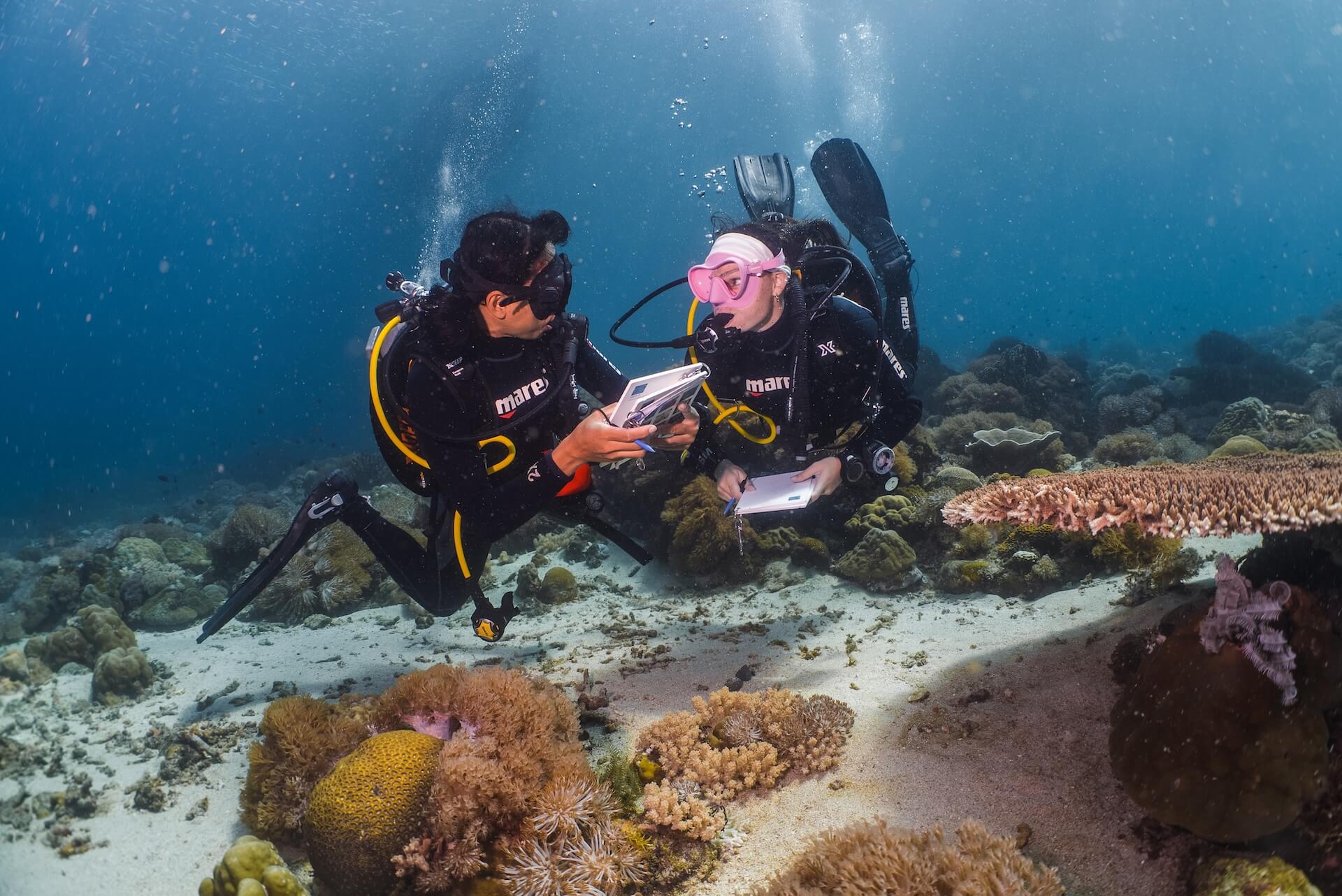 Private scuba diving. Puerto Galera, Philippines